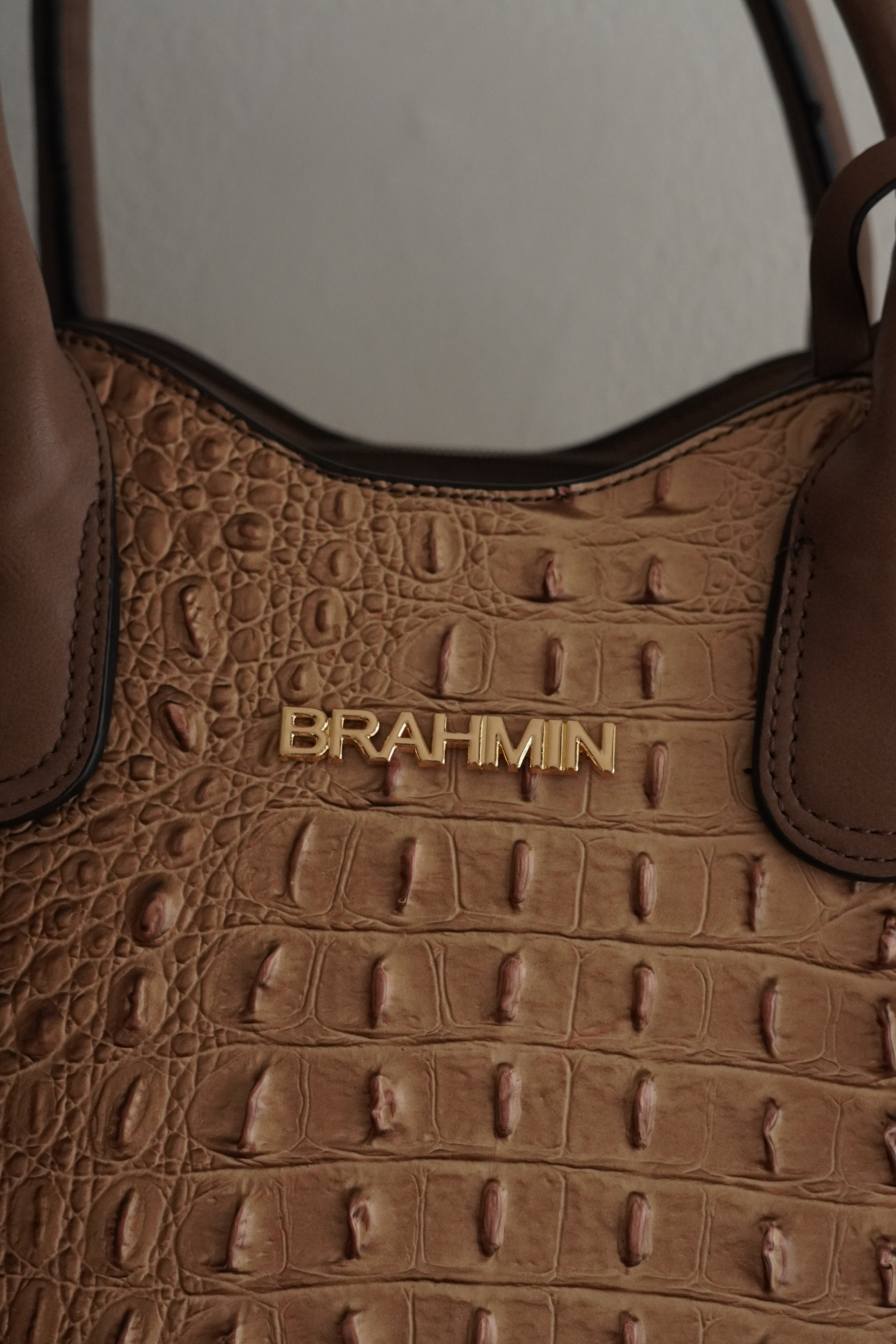 Cartera Brahmin Tote